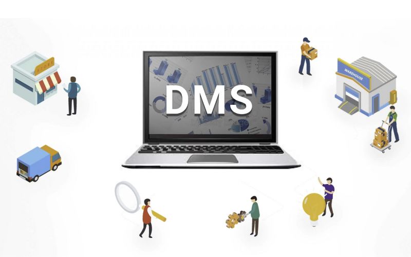 Cấu trúc và vai trò DMS