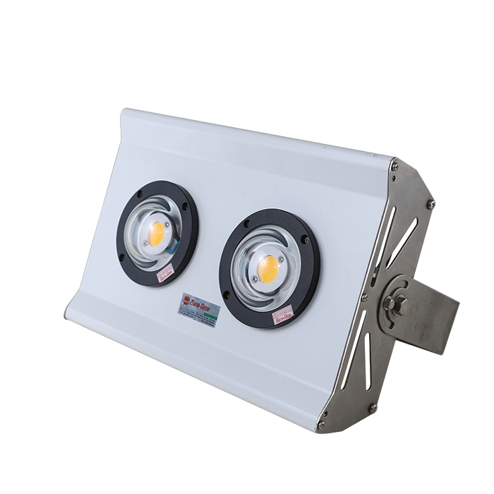 Vilas - Đèn LED Chiếu Boong CB01 20W 6500K