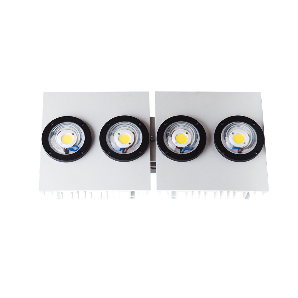 Vilas - Đèn LED đánh cá DC04 200W 4000K