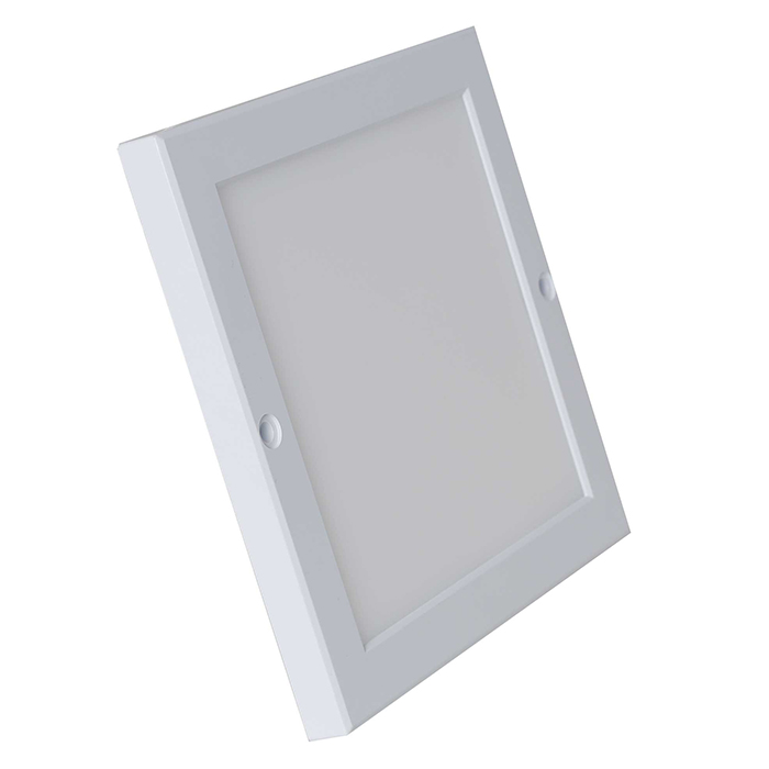 Vilas - Đèn LED ốp trần LN09 172/12W 6500K (black) SS
