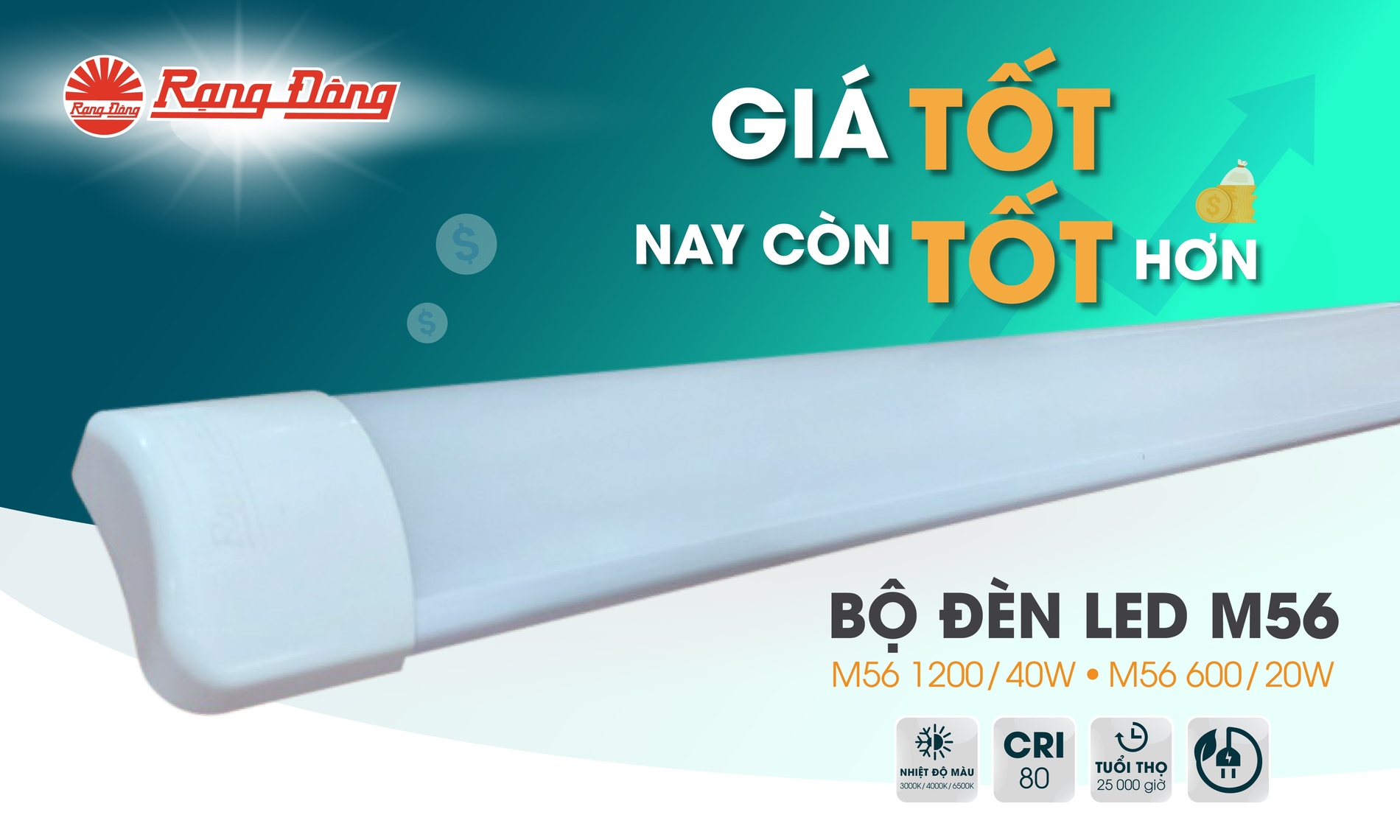 Đào tạo sản phẩm bộ đèn M56