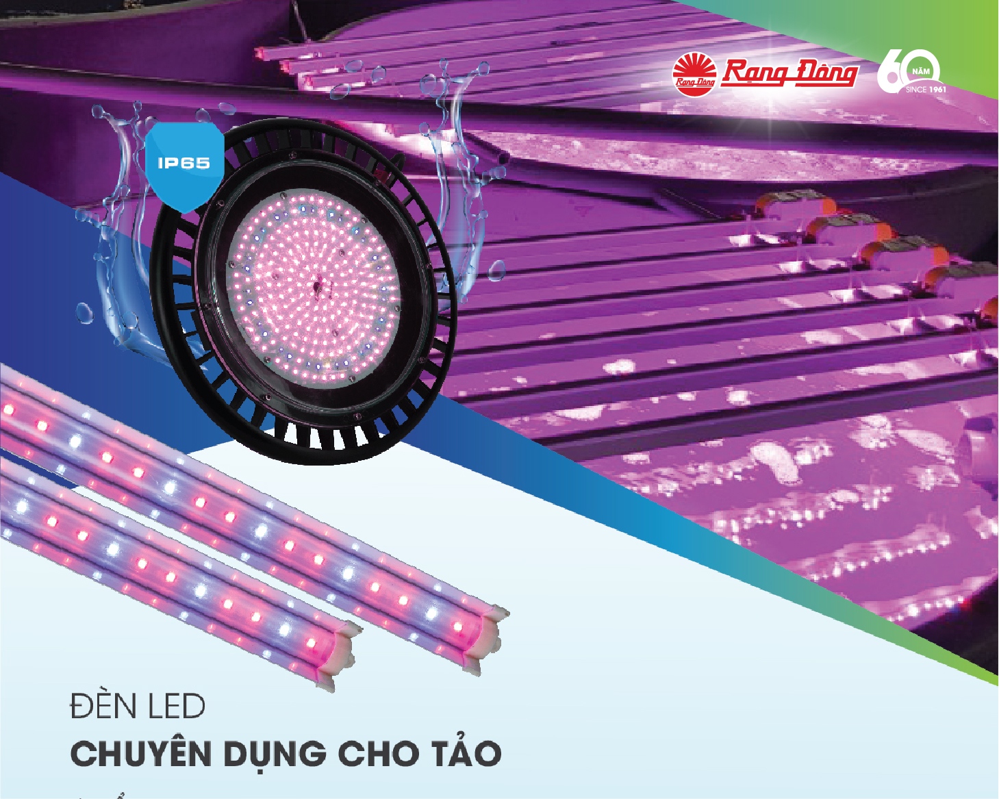 Chiếu sáng trong nuôi tảo