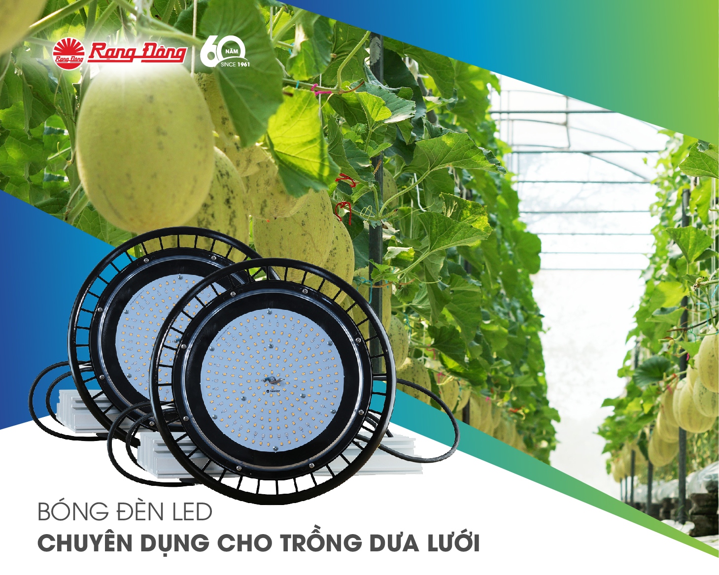 Chiếu sáng trồng dưa lưới