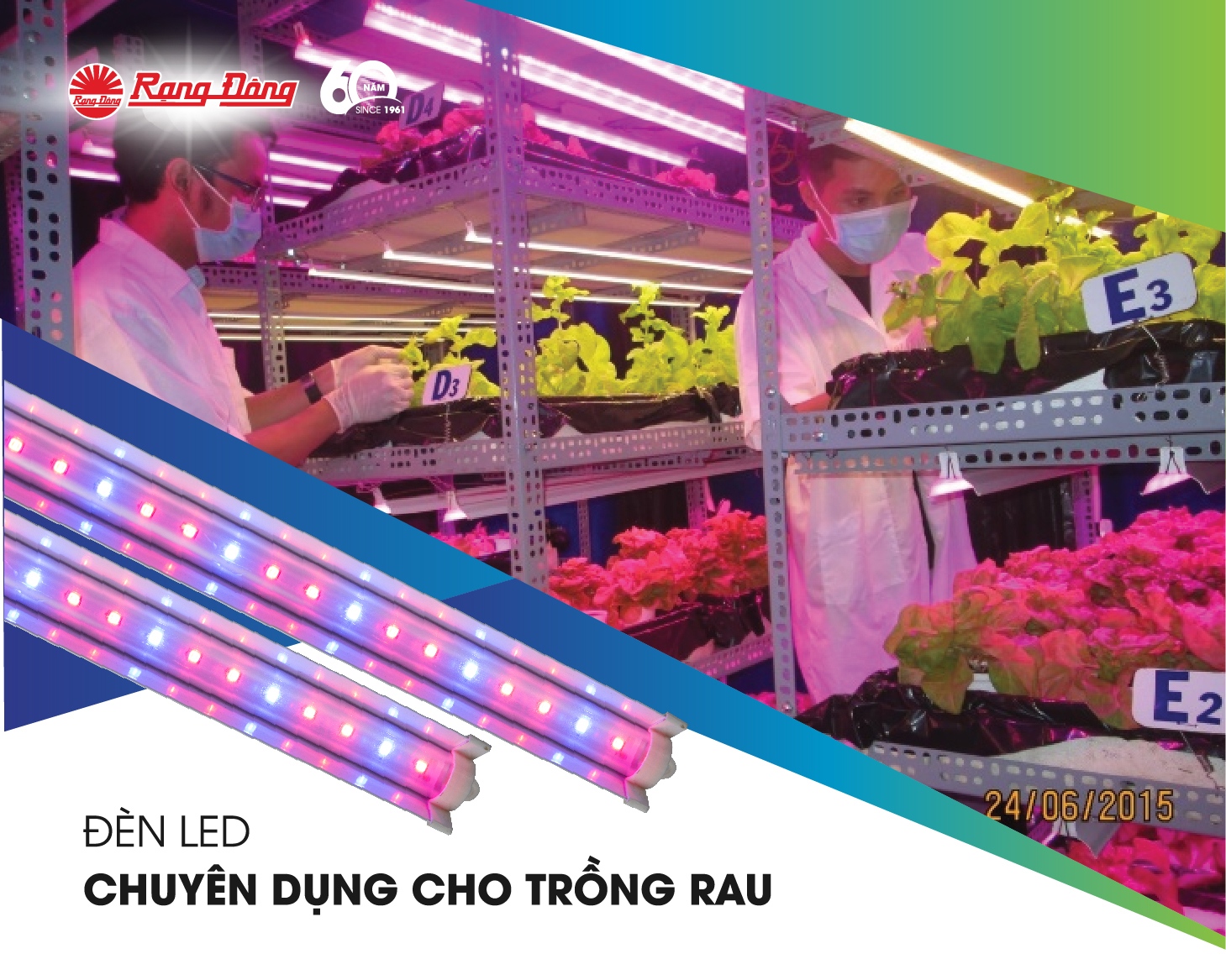 Chiếu sáng trong trồng rau