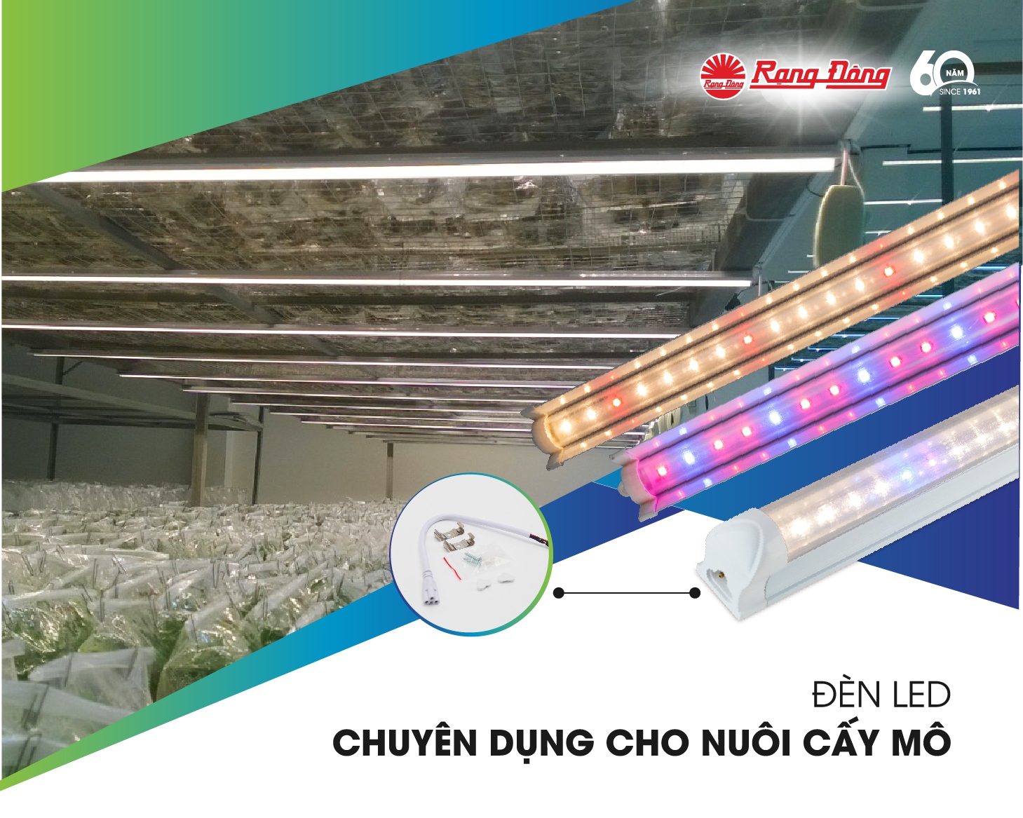 Chiếu sáng nuôi cấy mô